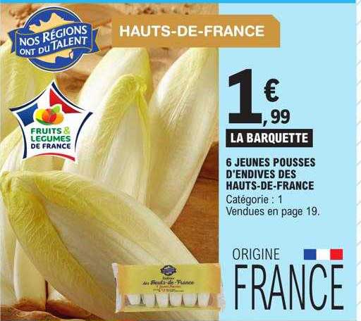 6 jeunes pousses d'endives des hauts-de-france