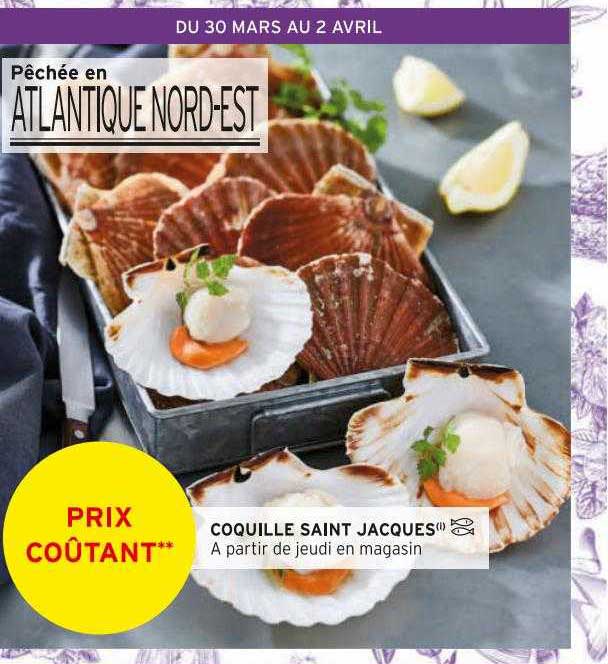coquille saint jacques