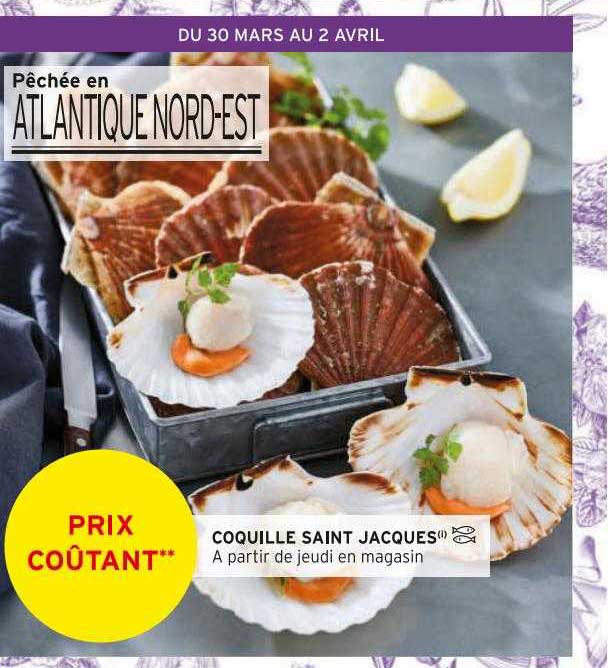 coquille saint jacques