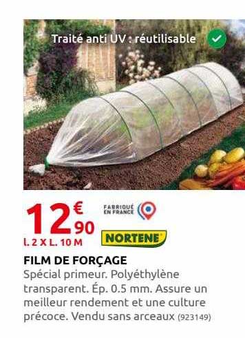 film de forçage nortene