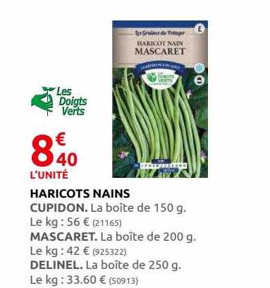 haricots nains