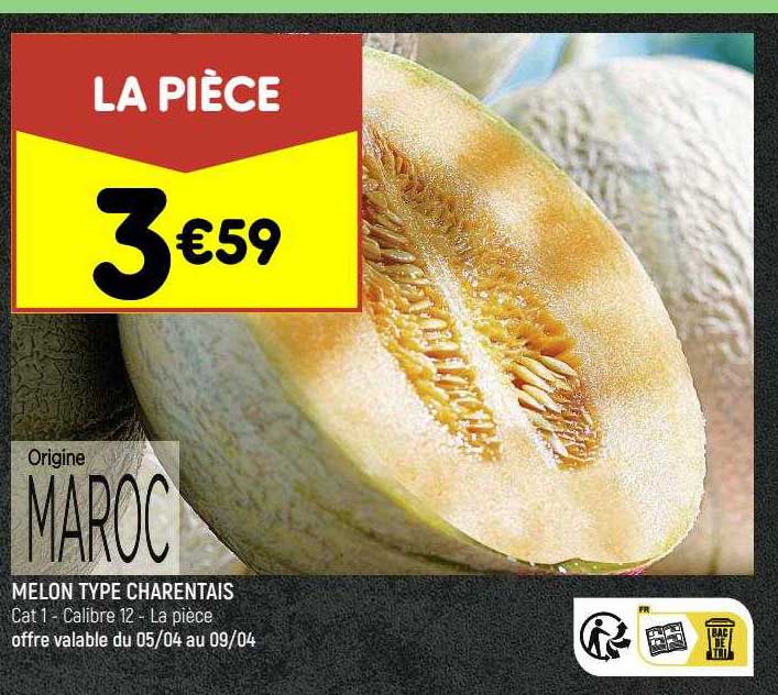 melon type charentais