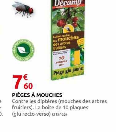 pièges à mouches décamp