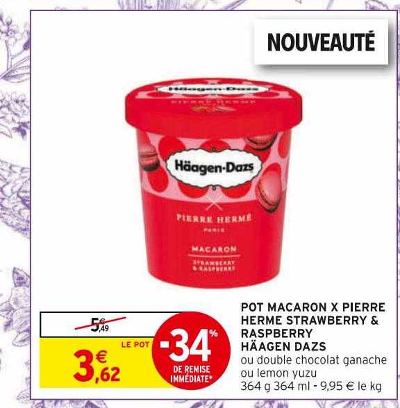 pot macaron x pierre herme strawberry & raspberry häagen dazs