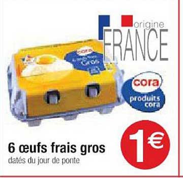 6 œufs Frais Gros