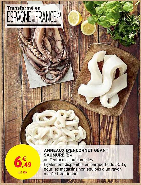 anneaux d'encornet géant saumuré