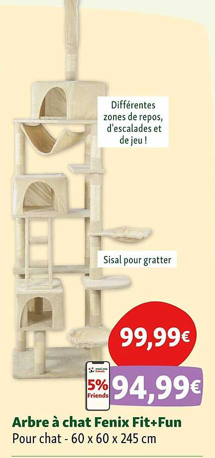 arbre à chat fenix fit+fun