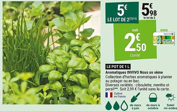 aromatiques invivo nous on sème