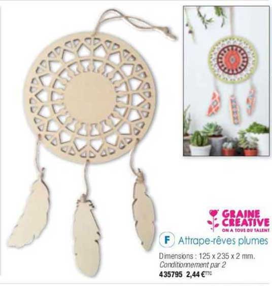 attrape-rêves plumes graine créative