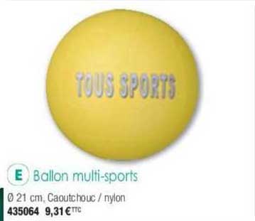 ballon multi-sports