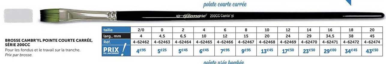brosse cambr'yl pointe courte carrée, série 200cc