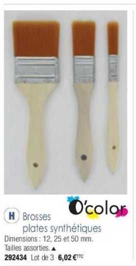 brosses plates synthétiques o'color