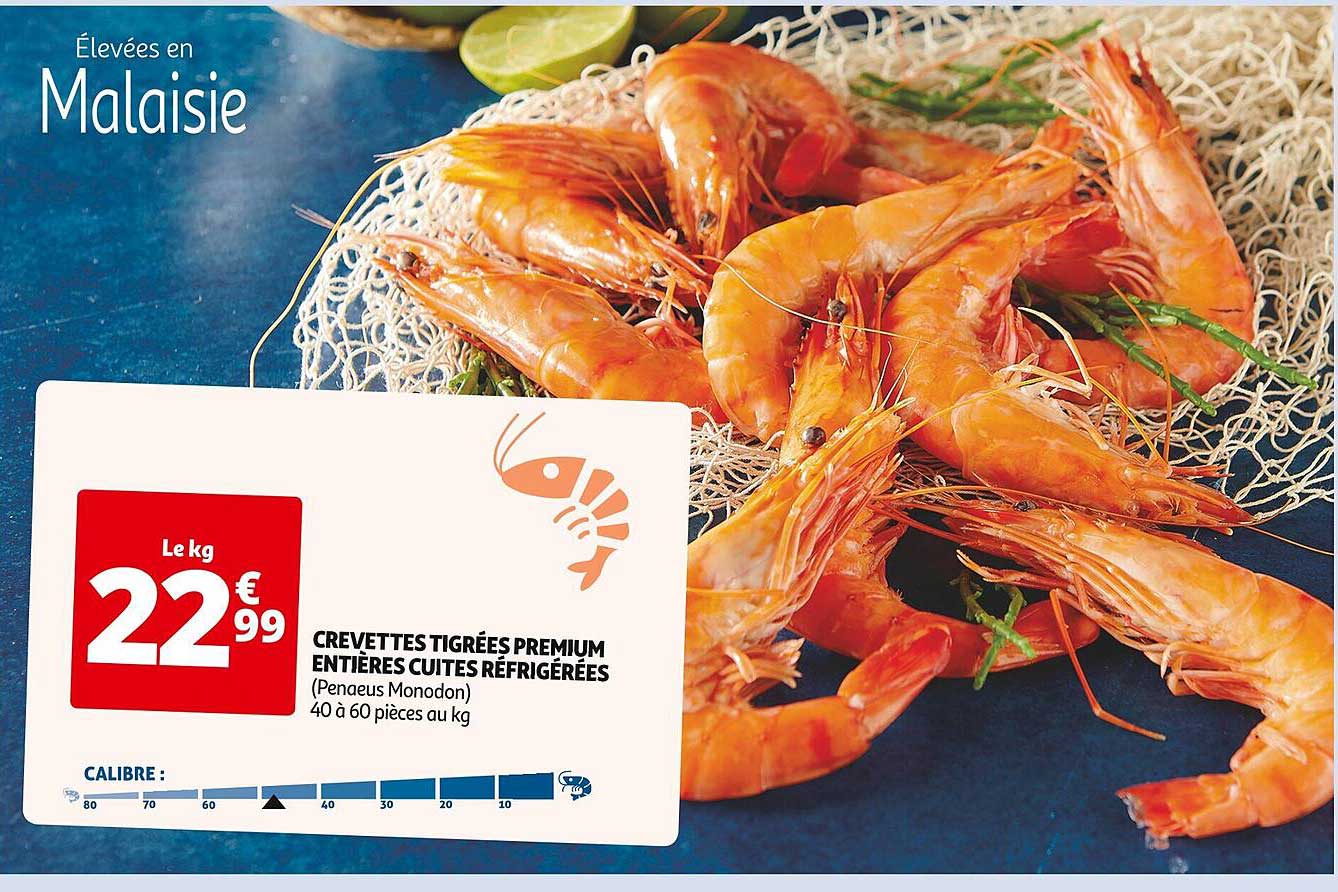 crevettes tigrées premium entières cuites réfrigérées