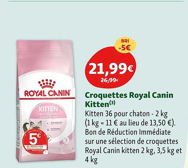 croquettes royal canin kitten