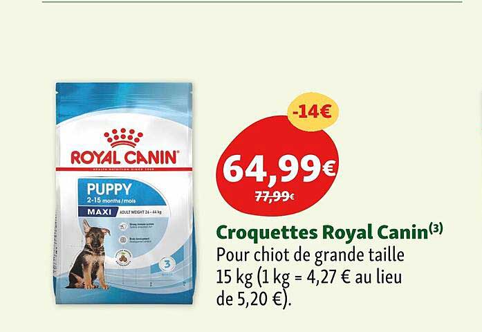 croquettes royal canin