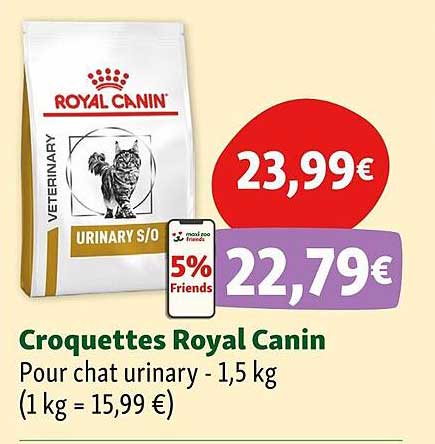 croquettes royal canin