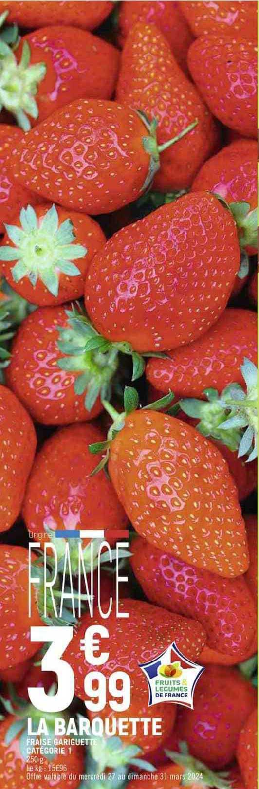 fraise gariguette catégorie