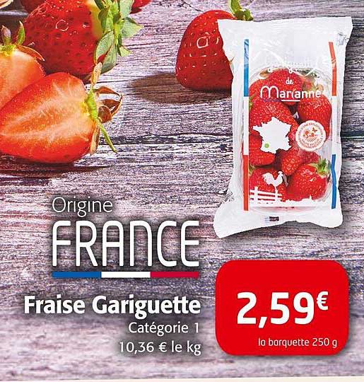 fraise gariguette