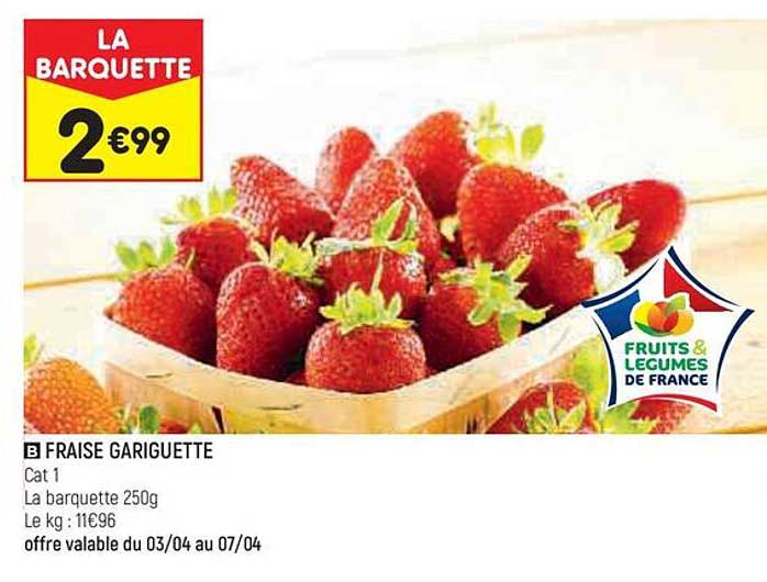fraisse gariguette