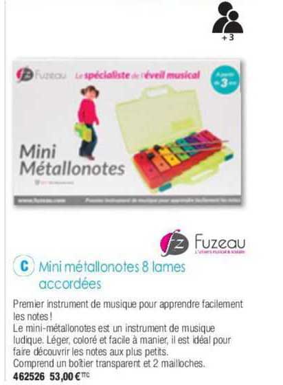 fuzeau mini métallonotes 8 lames accordées