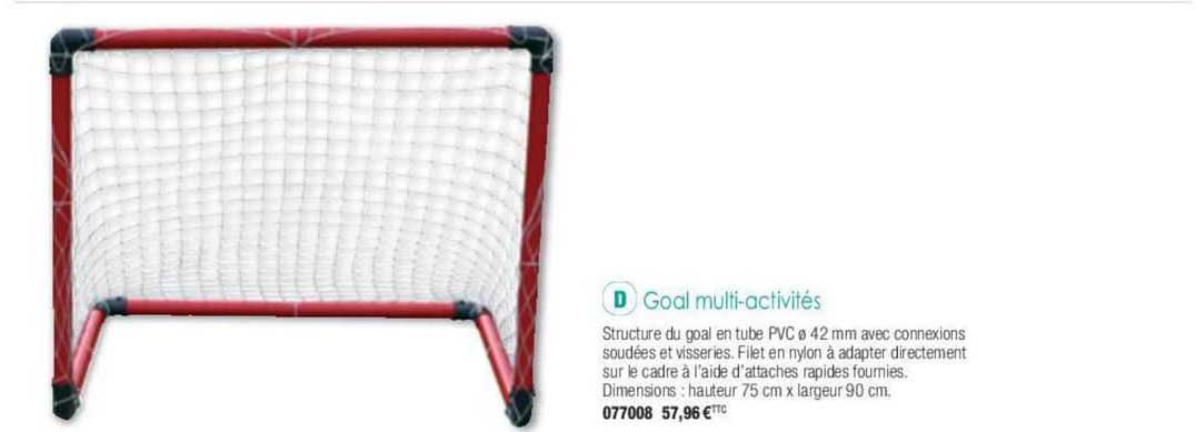 goal multi-activités