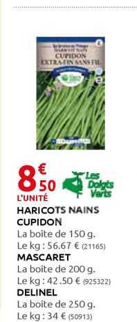 haricots nains cupidon mascaret delinel