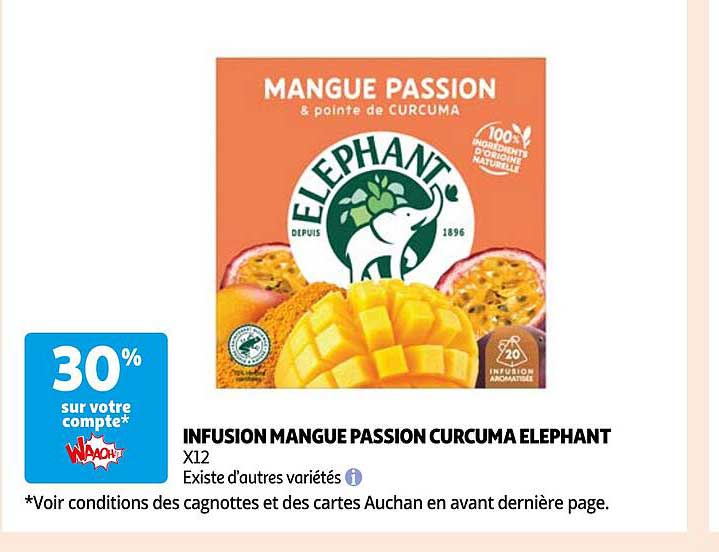 Infusion Mangue Passion Curcuma éléphant