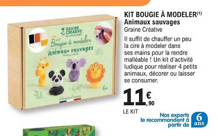 kit bougie à modeler - animaux sauvages - graine créative