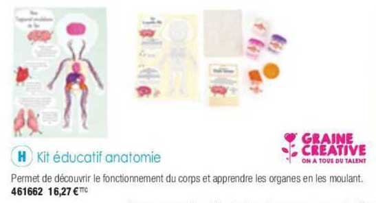 kit éducatif anatomie graine créative