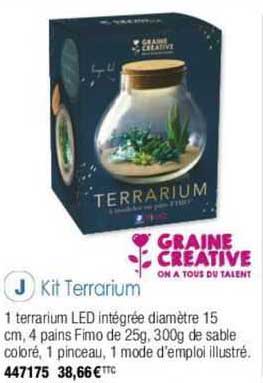 kit terrarium graine créative