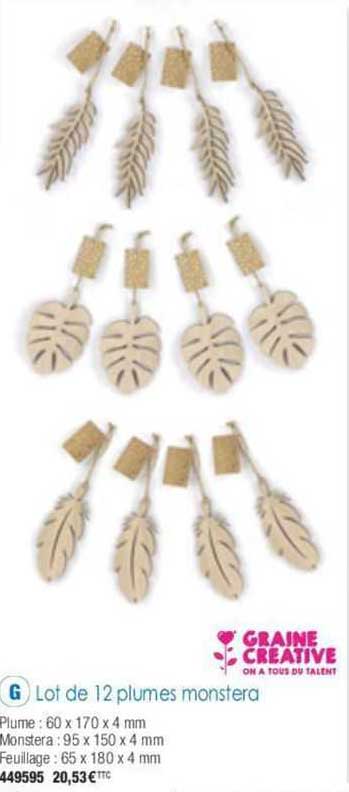 lot de 12 plumes monstera graine creative