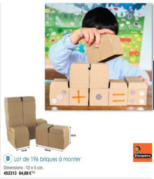 lot de 196 briques à monter