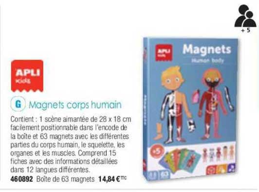 Magnets Corps Humains Apli Kids