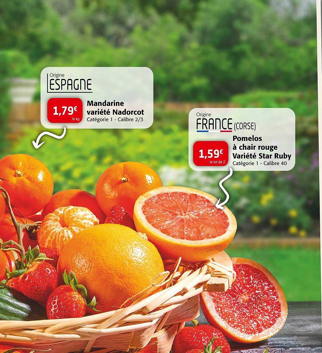 mandarine variété nadorcot ou pomelos à chair rouge variété star ruby