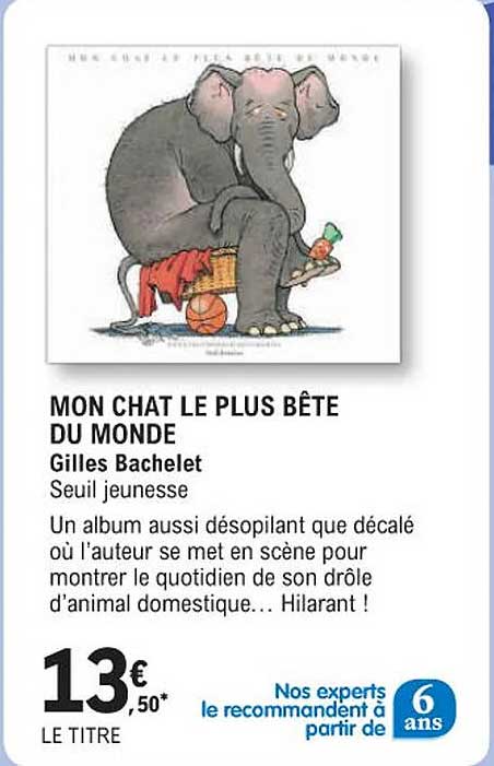 mon chat le plus bête du monde gilles bachelet seuil jeunesse