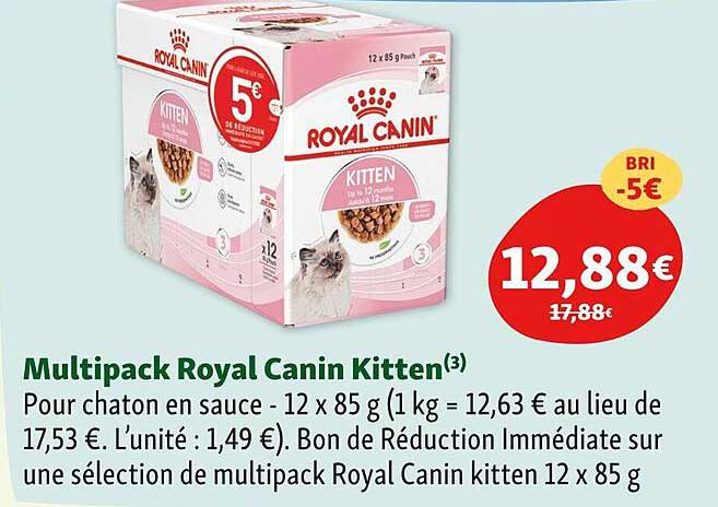 multipack royal canin kitten