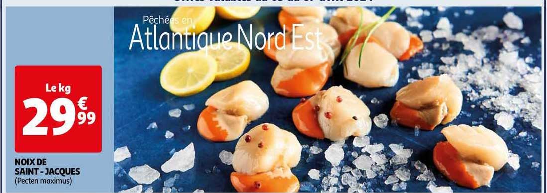 noix de saint-jacques