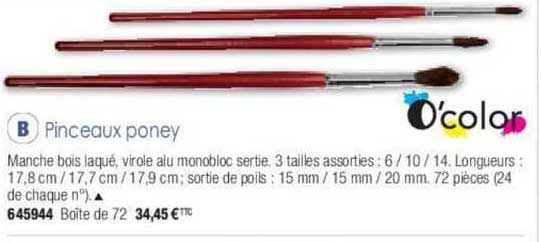 o'color pinceaux poney