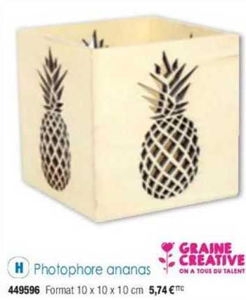 photophore ananas graine creative