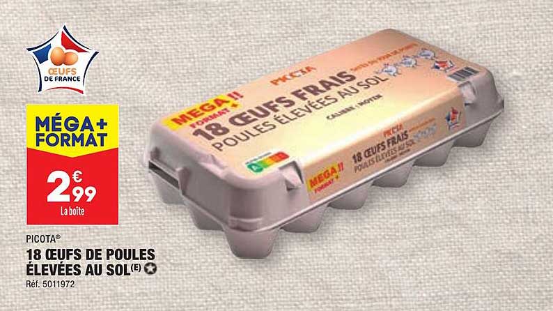 picota 18 œufs de poules élevées au sol