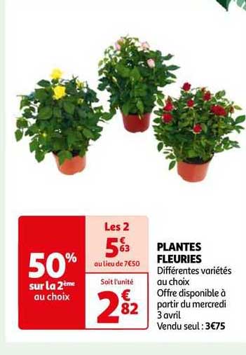plantes fleuries
