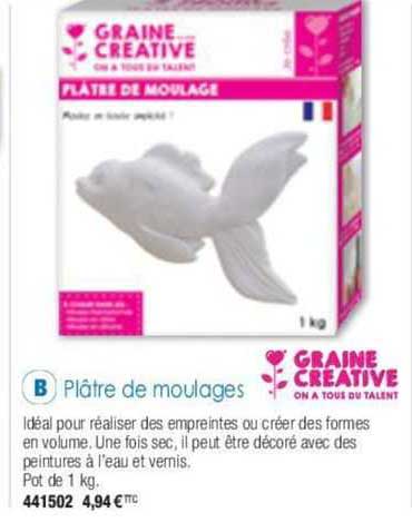 Plâtre De Moulages Graine Creative