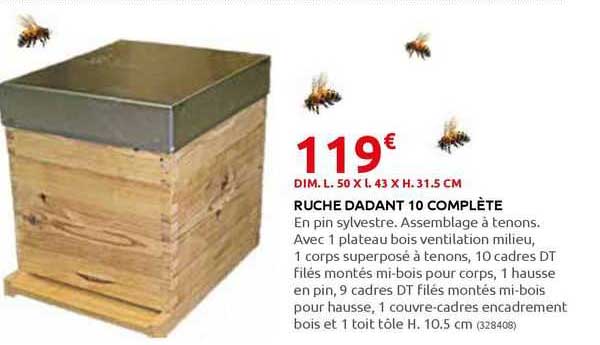 Ruche Dadant 10 Complète