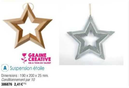 suspension étoile graine créative