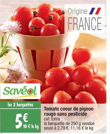 tomate cœur de pigeon rouge sans pesticide