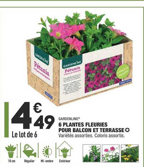 6 plantes fleuries pour balcon et terrasse gardenline