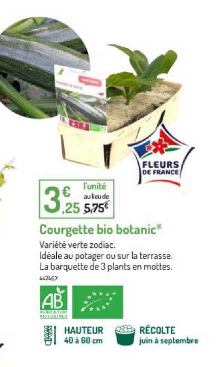 Courgette Bio Botanic