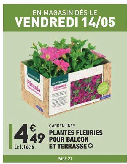 Gardenline Plantes Fleuries Pour Balcon Et Terrasse