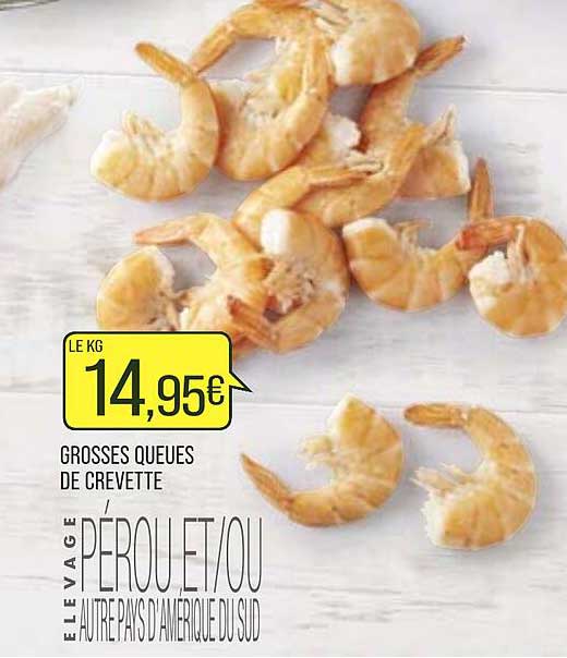 Grosses Queues De Crevette