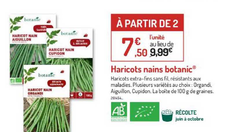 haricots nains botanic